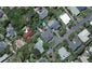 12 Armitage Street, Ngaio, Wellington - Carousel 1