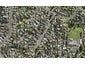 28 Quona Avenue, Mount Roskill, Auckland - Carousel 1