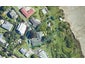 278 Plummers Point Road, Whakamarama, Whakamārama - Carousel 1