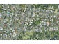 472 Fraser Street, Parkvale, Tauranga - Carousel 1