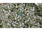 11C Lucinda Place, Glen Eden, Auckland - Carousel 1
