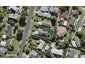 1/7 Ashcroft Avenue, Mangere Bridge, Auckland - Carousel 1