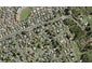 11 Cadiz Place, Red Hill, Papakura - Carousel 1