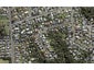 11A City View Terrace, Birkenhead, Auckland - Carousel 1