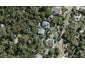 27 Miro Road, Palm Beach, Waiheke Island - Carousel 1