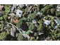 14 Tanglewood Place, Cockle Bay, Auckland - Carousel 1
