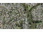 2/41 Ennis Avenue, Pakuranga Heights, Auckland - Carousel 1