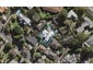 105D Wheturangi Road, Greenlane, Auckland - Carousel 1