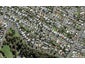 22 Springfield Road, Morningside, Auckland - Carousel 1