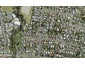 34 Captain Scott Road, Glen Eden, Auckland - Carousel 1