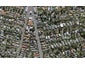 2B Pukenui Road, Epsom, Auckland - Carousel 1