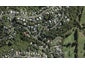 4 Karaka Road, Oneroa, Waiheke Island - Carousel 1