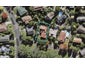 4 Holyoake Place, Chatswood, Auckland - Carousel 1