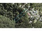 29 Minnehaha Avenue, Titirangi, Auckland - Carousel 1