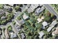 2 Channel View Road, Campbells Bay, Auckland - Carousel 1