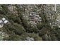 23 Wernham Place, Northcote, Auckland - Carousel 1