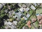 51 Southern Cross Road, Kohimarama, Auckland - Carousel 1