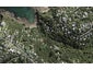 9 Te Aroha Avenue, Oneroa, Waiheke Island - Carousel 1