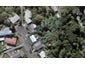 26 Durham Avenue, Welbourn, New Plymouth - Carousel 1