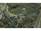 179 Upper Harbour Drive, Greenhithe, Auckland - Carousel 1