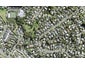 47 Brian Crescent, Stanmore Bay, Whangaparaoa - Carousel 1