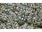 86 Lantana Road, Green Bay, Auckland - Carousel 1