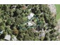 9 Paturoa Road, Titirangi, Auckland - Carousel 1