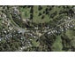 6 Junction Road, Oneroa, Waiheke Island - Carousel 1