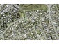 20D Glenvar Road, Torbay, Auckland - Carousel 1