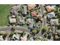40 Bushlands Park Drive, Albany, Auckland - Carousel 1