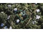 8 Hillside Road, Ostend, Waiheke Island - Carousel 1