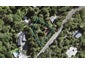 137 Konini Road, Titirangi, Auckland - Carousel 1