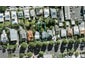 79 Richmond Road, Grey Lynn, Auckland - Carousel 1