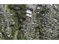 1/45 Rawene Road, Birkenhead, Auckland - Carousel 1