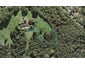 3 Trig Station Rise, Paremoremo, Auckland - Carousel 1