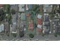 455 Worcester Street, Linwood, Christchurch - Carousel 1