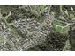 13 Kittiwake Drive, Schnapper Rock, Auckland - Carousel 1