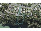 90 Island Bay Road, Beach Haven, Auckland - Carousel 1