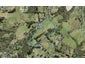 64 O'Neills Road, Swanson, Auckland - Carousel 1