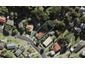1/63 Ayton Drive, Totara Vale, Auckland - Carousel 1