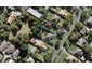 21 Kiwitea Street, Sandringham, Auckland - Carousel 1