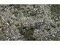 22 Seaview Road, Glenfield, Auckland - Carousel 1