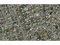 184A Nile Road, Forrest Hill, Auckland - Carousel 1