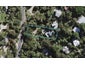 27 Palm Road, Palm Beach, Waiheke Island - Carousel 1