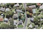 2 Havelle Avenue, Titirangi, Auckland - Carousel 1