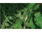 191 Rahiri Road, Horeke, Okaihau - Carousel 1