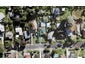 52A Shoreham Street, Avondale, Auckland - Carousel 1
