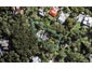 57 Paturoa Road, Titirangi, Auckland - Carousel 1