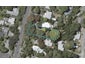 13 Tennis Court Road, RAUMATI SOUTH, PARAPARAUMU - Carousel 1