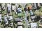 1 Barker Rise, Northcross, Auckland - Carousel 1